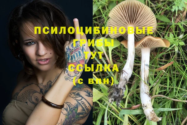 соль курить ск Верхний Тагил