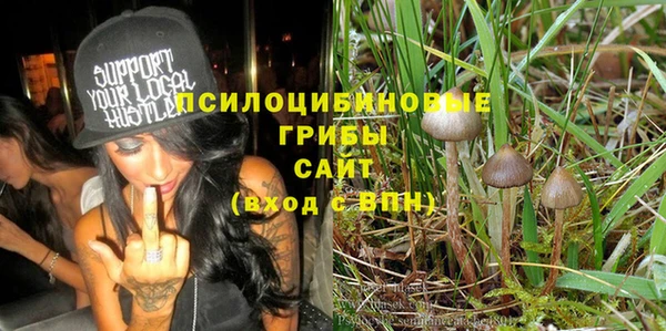 соль курить ск Верхний Тагил