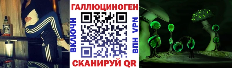 darknet какой сайт  Выкса  Псилоцибиновые грибы Cubensis 